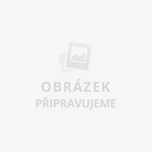 Tiny Pretty Things - Krása