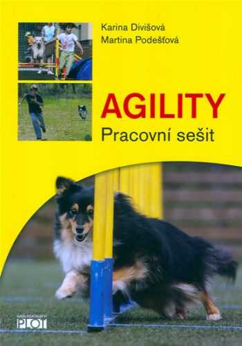 Agility - Pracovní sešit - Divišová Karina