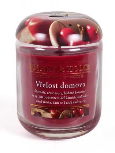 Albi velká svíčka - Vřelost domova - 12 x 8