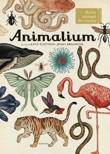 Animalium - kolektiv - 28x37 cm