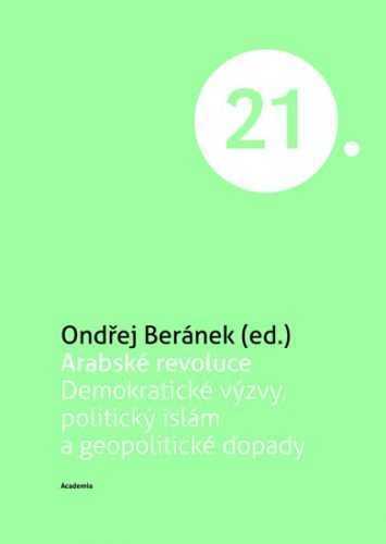 Arabské revoluce - Demokratické výzvy