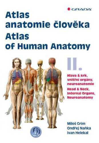 Atlas anatomie člověka II. - Hlava a krk