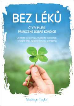 Bez léků – Čtyři pilíře přirozeně dobré kondice - Madisyn Taylor