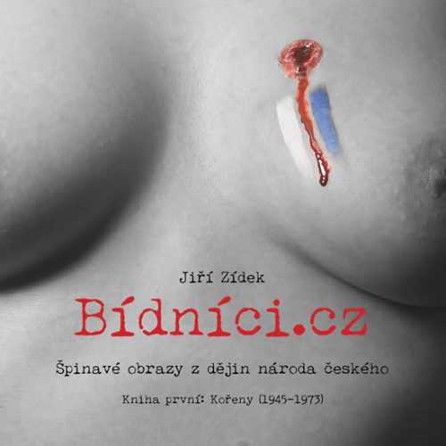 Bídníci.cz - Zídek Jiří - 21x21 cm