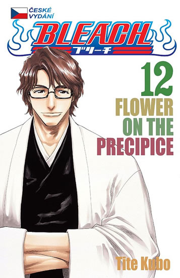 Bleach 12: Flower on the Precipice - Kubo Tite - 11