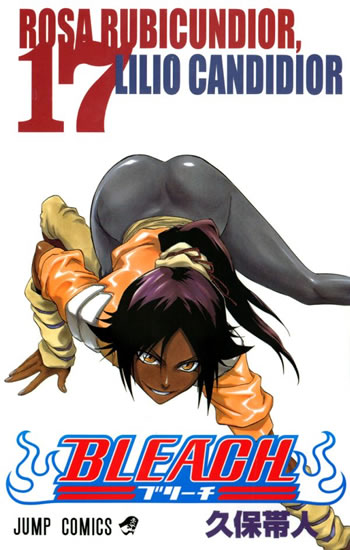 Bleach 17: Rosa Rubicundior