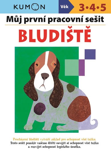 Bludiště - Můj pracovní sešit - Moto Giovanni K.