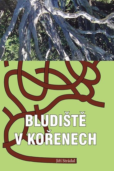 Bludiště v kořenech - Strádal Jiří - 14