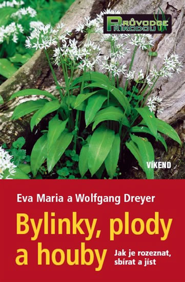 Bylinky