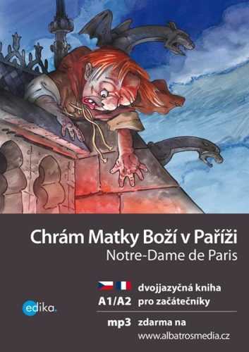 Chrám Matky Boží v Paříži A1/A2 - Lucie Konvičková - 15x21 cm