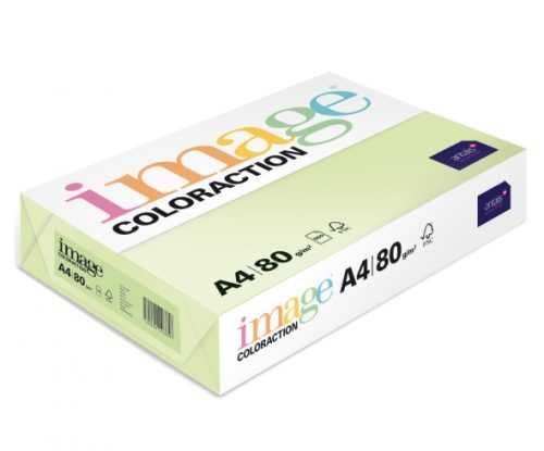 Coloraction A4 80 g 500 ks - Jungle/pastelově sv.zelená