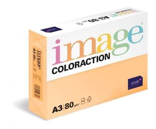 Coloraction A4 80 g 500 ks - Savana/meruňková