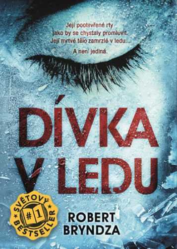Dívka v ledu - Bryndza Robert