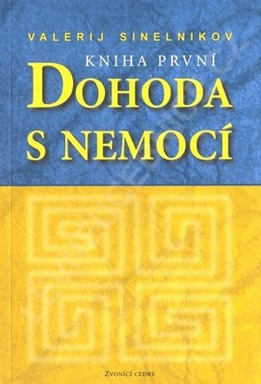 Dohoda s nemocí I - Sineľnikov Valerij