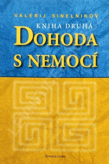 Dohoda s nemocí II - Sineľnikov Valerij