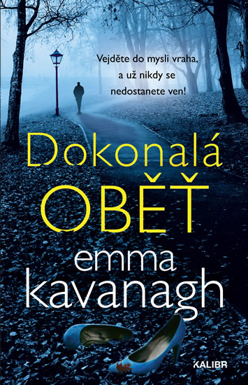 Dokonalá oběť - Kavanagh Emma
