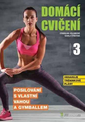 Domácí cvičení 3 - Posilování s vlastní vahou a gymballem - Holomková Stanislava