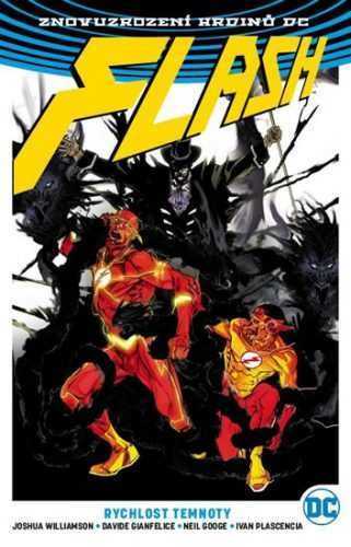 Flash 2 - Rychlost temnoty - Williamson Joshua