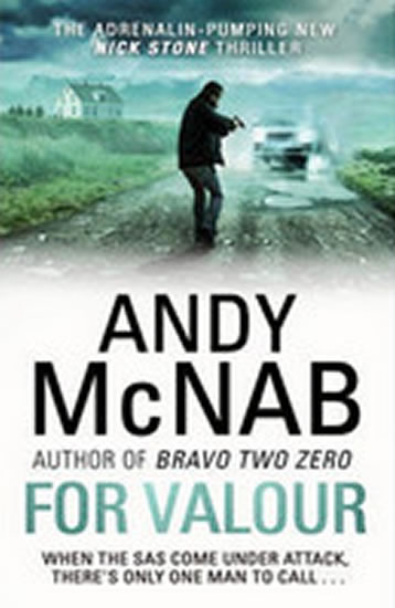 For Valour - McNab Andy