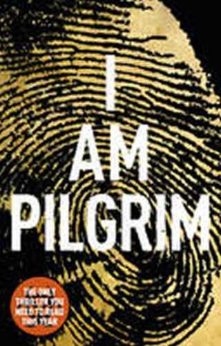 I Am Pilgrim - Hayes Terry