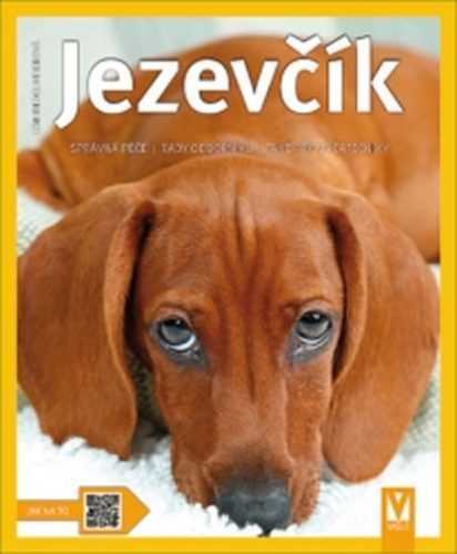 Jezevčík - Jak na to - Fiedelmeierová Leni - 16