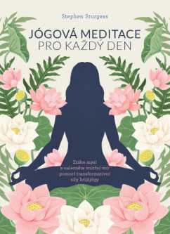 Jógová meditace pro každý den - Stephen Sturgess