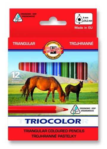 Koh-i-noor pastelky TRIOCOLOR 3112