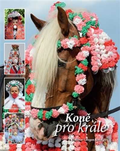 Koně pro krále - Gregor Dalibor