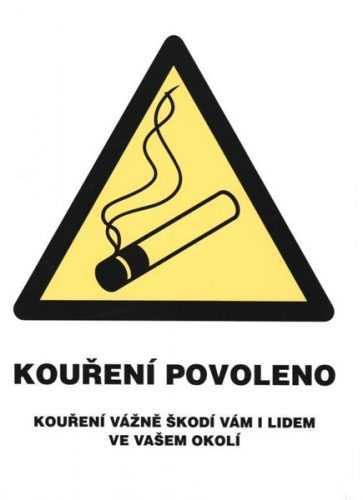 Kouření povoleno (označení restaurací) - 21x28 / plast