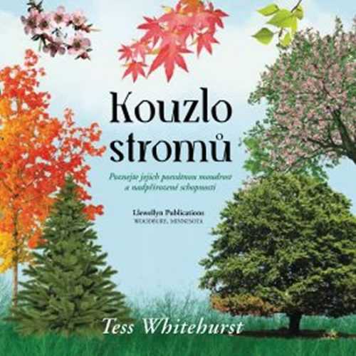 Kouzlo stromů - Whitehurstová Tess