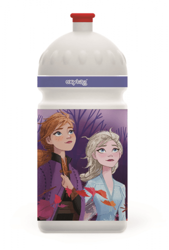 Láhev na pití 500 ml - Frozen 2/Ledové království 2