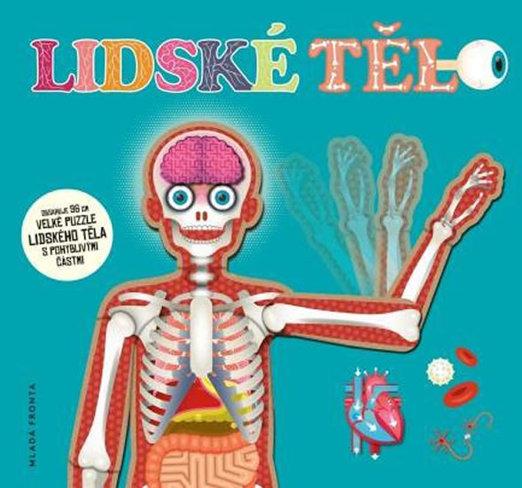 Lidské tělo - neuveden