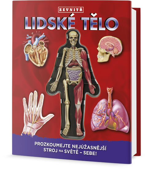 Lidské tělo zevntiř: Prozkoumej nejúžasnější stroj na světě - sebe! - Colombo Luann