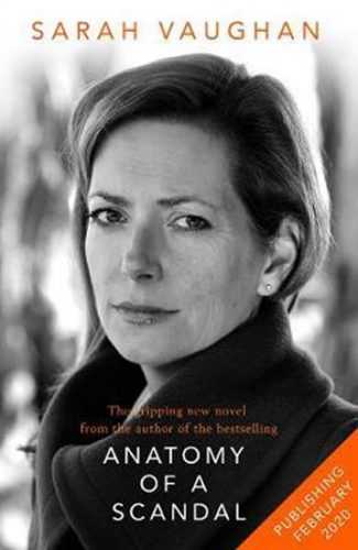 Little Disasters : from the bestselling author of Anatomy of a Scandal - Vaughanová Sarah