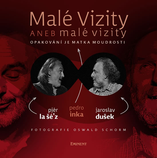 Malé vizity aneb malé vizity - Opakování je matka moudrosti - kolektiv autorů