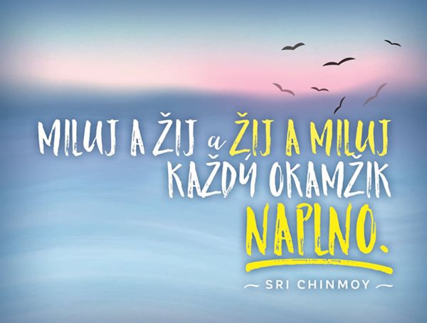 Miluj a žij a žij a miluj každý okamžik naplno - plechová cedulka - Chinmoy Sri