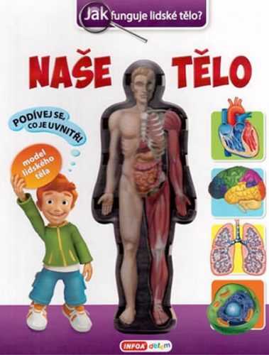 Naše tělo - Jak funguje lidské tělo? - Bulackij Svjatoslav