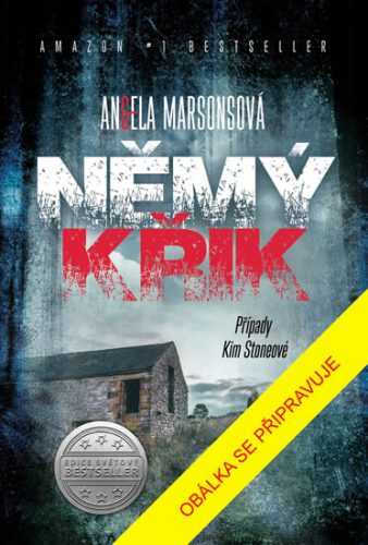 Němý křik - Marsonsová Angela