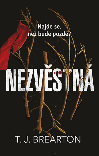 Nezvěstná - Brearton T. J.
