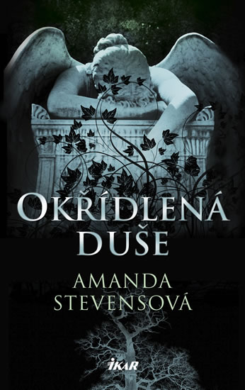 Okřídlená duše - Stevensová Amanda