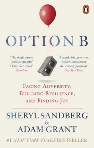 Option B : Facing Adversity