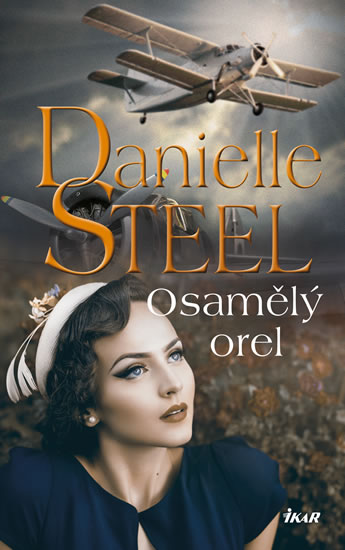 Osamělý orel - Steel Danielle - 13x21 cm