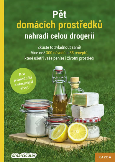 Pět domácích prostředků nahradí celou drogerii - Zkuste to zvládnout sami! Více než 300 návodů a 33 - kolektiv autorů