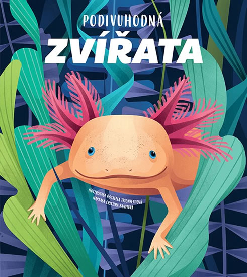Podivuhodná zvířata - Banfiová Cristina