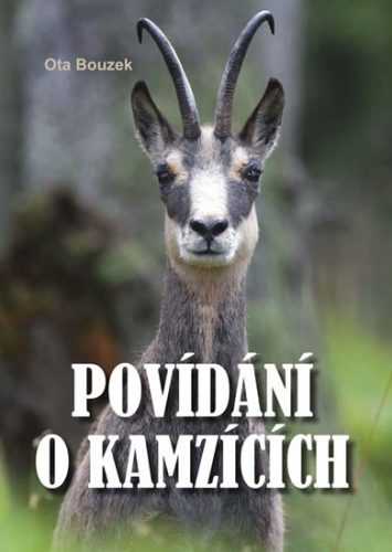 Povídání o kamzících - Bouzek Ota - 15