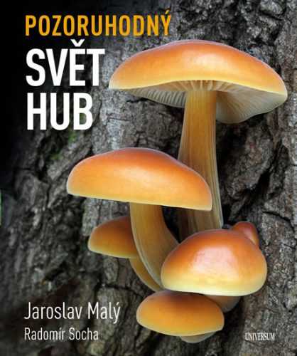 Pozoruhodný svět hub - Malý Jaroslav