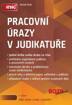 Pracovní úrazy v judikatuře - Zdeněk Šenk