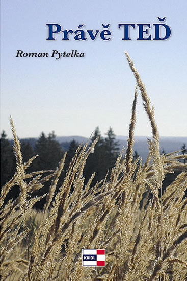 Právě teď - Pytelka Roman