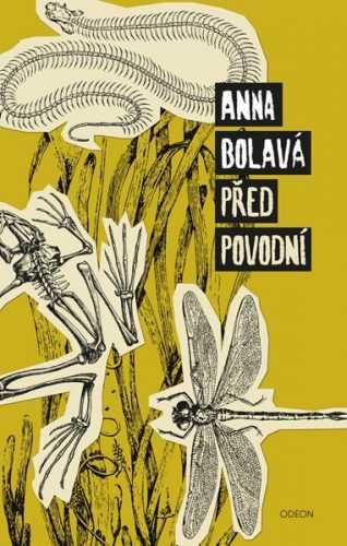 Před povodní - Bolavá Anna