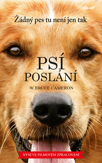 Psí poslání - Cameron Bruce W.